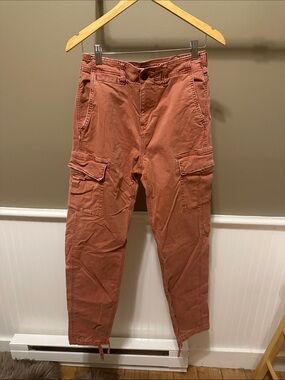 American Eagle Outfitters Rust Cargo Pants